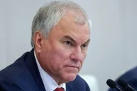 Володин назвал безумием дебаты в Европарламенте о трансгендерах*