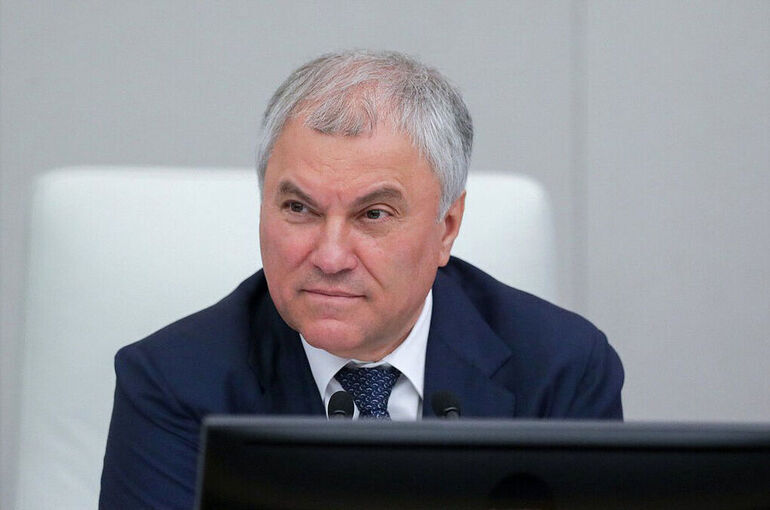 Володин: 17 февраля рассмотрим законопроект о дополнительной поддержке многодетных семей