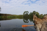 Рыбоводам хотят разрешить самим охранять свои владения 