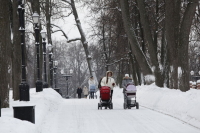 Многодетные семьи с невысоким доходом не лишатся единого пособия