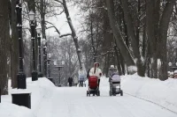 Многодетные семьи с невысоким доходом не лишатся единого пособия