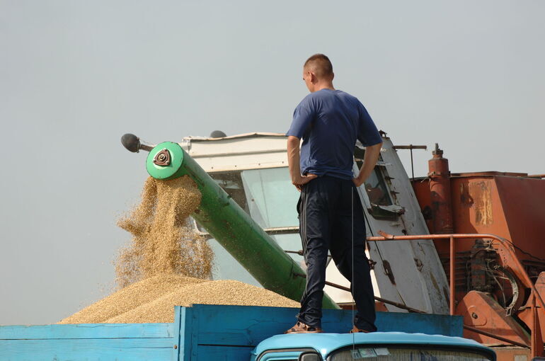 Аграриям станет проще подготовить кадры