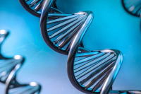 Совфед одобрил закон об ограничении передачи геномов россиян за рубеж