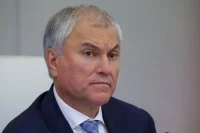 Володин допустил принятие закона, направленного на поддержку легпрома