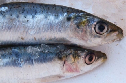 Рыбные прилавки хотят очистить от опасной экзотики