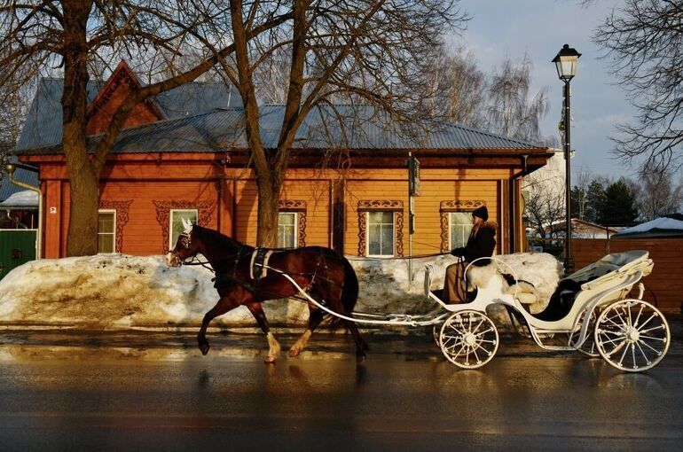 ТАСС: Кучер и мельник остались в числе официальных профессий в России
