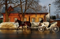 ТАСС: Кучер и мельник остались в числе официальных профессий в России