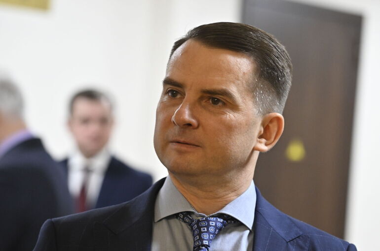 Депутат Нилов предложил ограничить сферу режима самозанятости