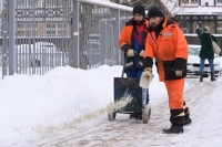 В Роскачестве назвали бренды самых опасных противогололедных реагентов