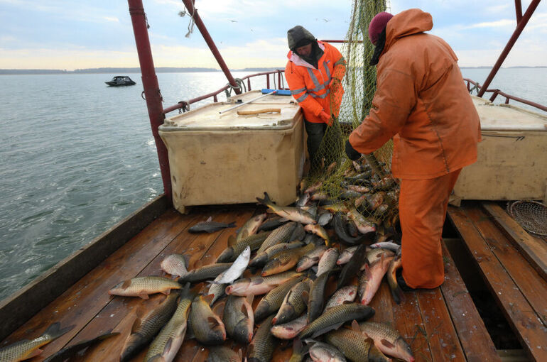 Что будет с судами рыбной отрасли старше сорока лет