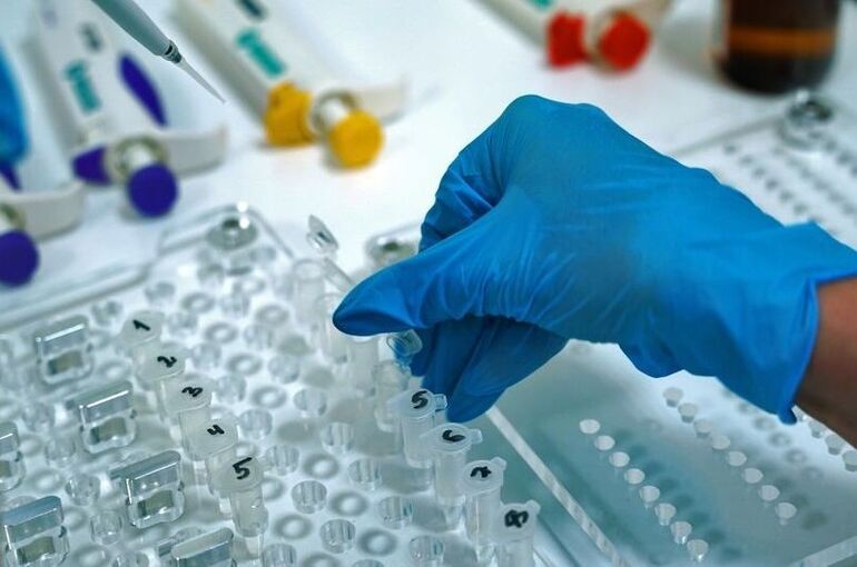 МВД: Найти пропавшую девочку в Смоленске помогли следы ДНК в машине