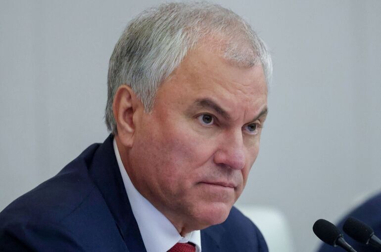 Володин призвал сохранить качество и доступность медицинской помощи