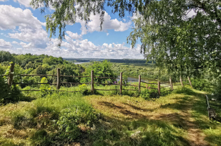 Резидентам ТОР хотят облегчить восстановление вырубленных ими лесов