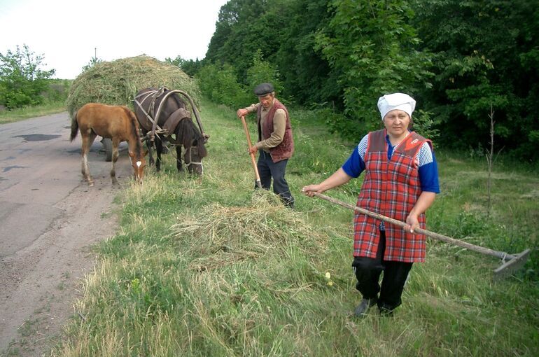 Школа, дом культуры, банкомат: все, что нужно на селе, — в одном месте
