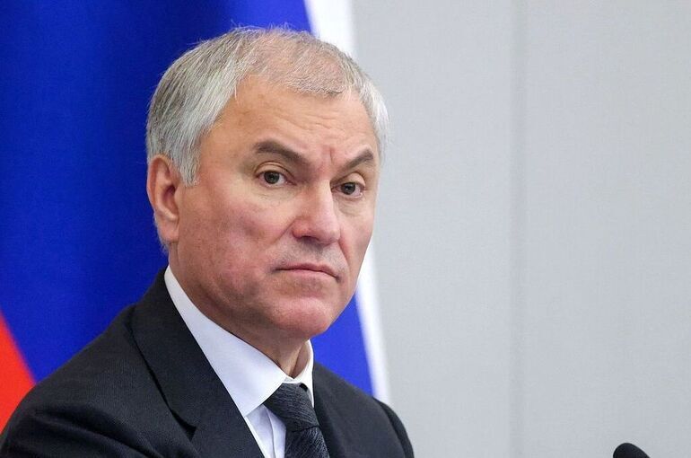 Володин: Модернизация законодательства для борьбы с кибермошенниками дала результат