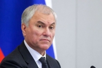 Володин: Модернизация законодательства для борьбы с кибермошенниками дала результат