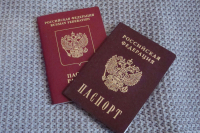 В СК предложили лишать приобретенного гражданства за тяжкое преступление