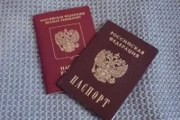 В СК предложили лишать приобретенного гражданства за тяжкое преступление