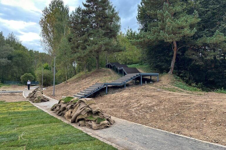 Петербург и Ленобласть создадут защищенный «лесной пояс» вокруг мегаполиса