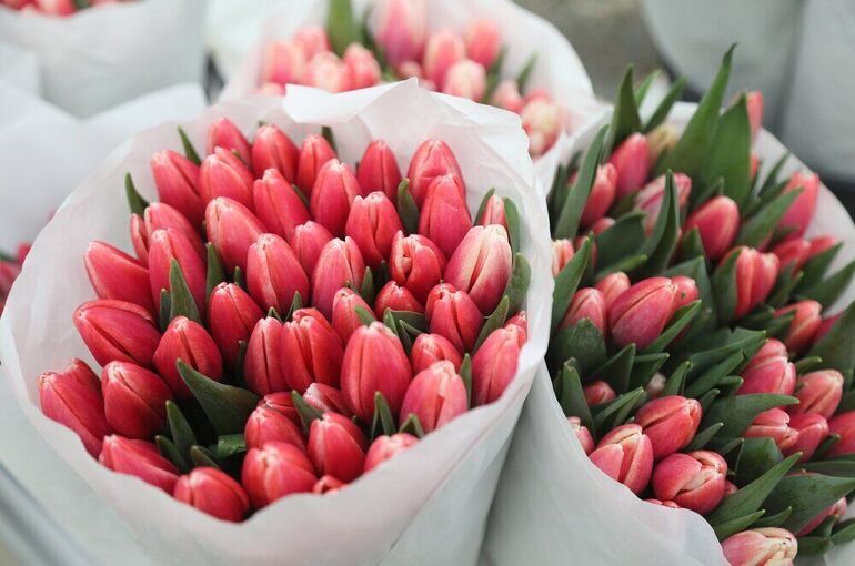 Лекции о женщинах-ученых и фестиваль цветов: где провести 8 Марта интересно и с пользой