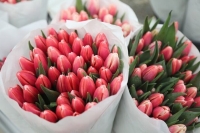 Лекции о женщинах-ученых и фестиваль цветов: где провести 8 Марта интересно и с пользой