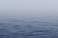 На месте затопления иранского судна у берегов Шри-Ланки нашли 80 тел