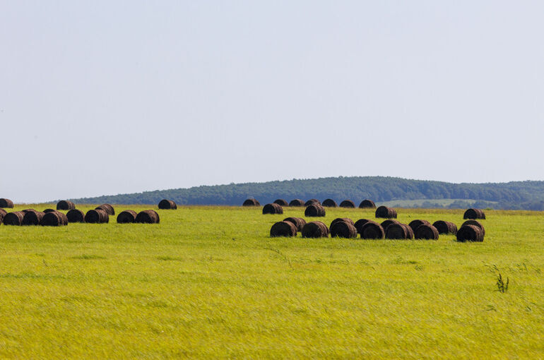 Сроки перевода сельхозземель в другие категории предложили увеличить