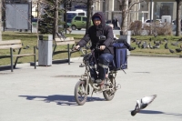 Деятельность посредников, трудоустраивающих мигрантов, предложили регулировать