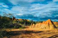 Африка говорит Парижу не «мерси», а «адье»!