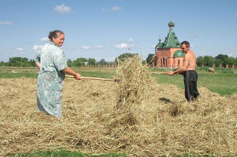 Роструд напомнил о праве женщин на селе на дополнительный выходной
