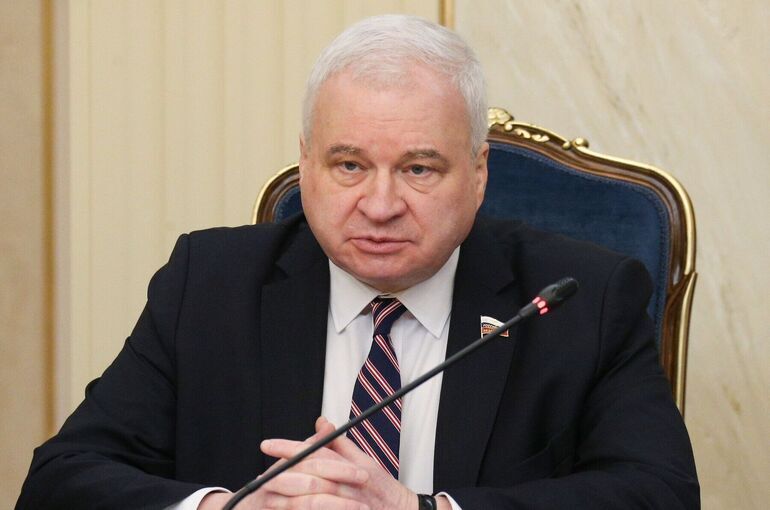 Сенатор Денисов назвал решительным переход Китая к широкому внедрению ИИ