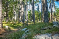 Капитальное строительство отодвинут от Петербурга