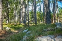 Капитальное строительство отодвинут от Петербурга