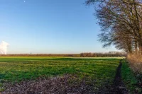 Какие земельные участки не продадут частникам