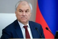 Володин рассказал о новых законопроектах, ужесточающих контроль за миграцией