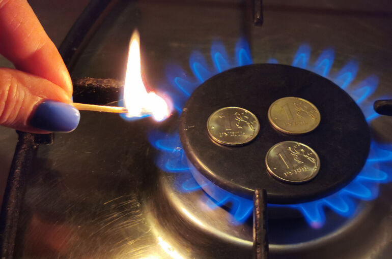 Правила социальной газификации хотят поменять