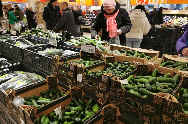 Цены на огурцы в России с 11 по 16 марта упали почти на 8%