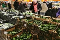 Цены на огурцы в России с 11 по 16 марта упали почти на 8%