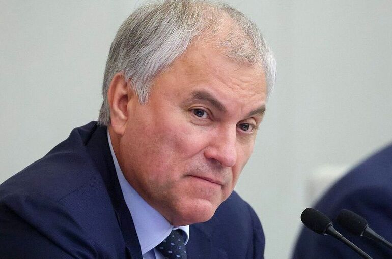Володин назвал парламентский контроль неотъемлемой частью полномочий депутатов