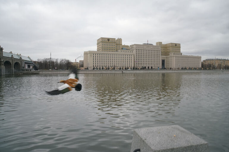 Минобороны предложили дать право запрашивать сведения о военнослужащих из реестра ЗАГС