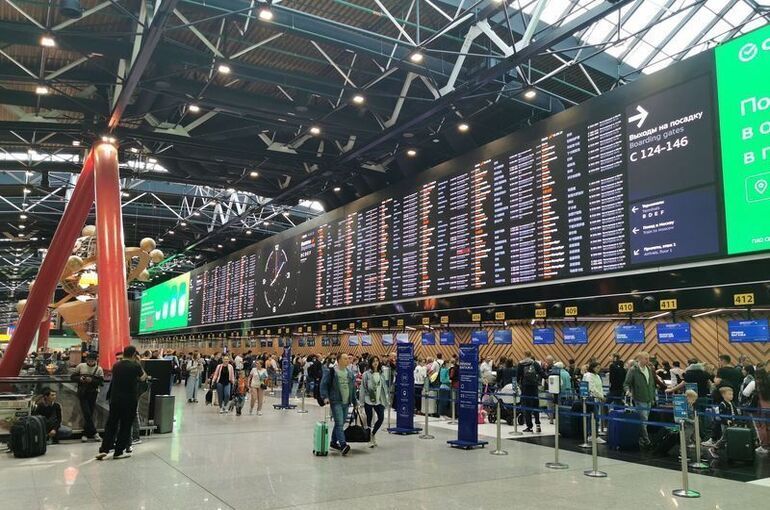 Аэропорты Домодедово и Жуковский возобновили полеты