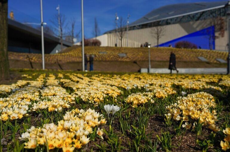 Синоптик рассказала, что Москва приближается к температурному рекорду