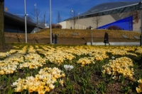 Синоптик рассказала, что Москва приближается к температурному рекорду