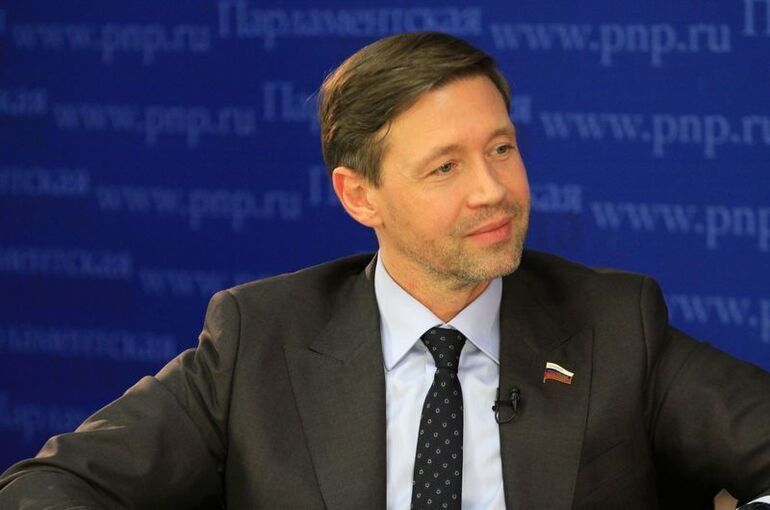 Сенатор Шейкин предложил провести международный полет беспилотника через реку Амур