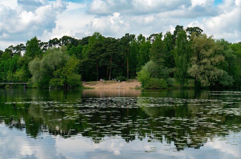 Опасные пляжи могут лишиться звезд