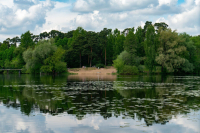 Опасные пляжи могут лишиться звезд