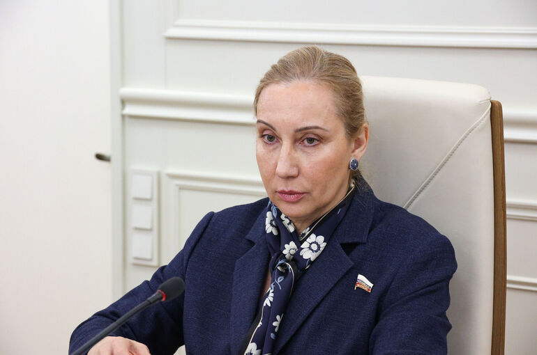 Сенатор призвала учитывать специфику регионов при выделении субсидий на санавиацию