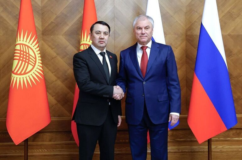 Володин и Маматалиев обсудили развитие межпарламентского диалога РФ и Киргизии