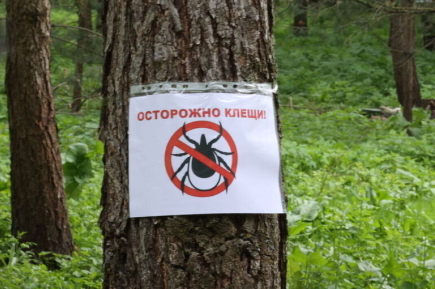 Россиян предупредили о пробуждении агрессивных клещей хиаломма в южных регионах страны