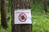 Россиян предупредили о пробуждении агрессивных клещей хиаломма в южных регионах страны